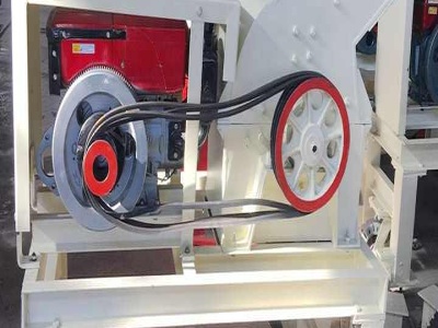 Crusher rotor assembly